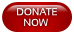 donate button